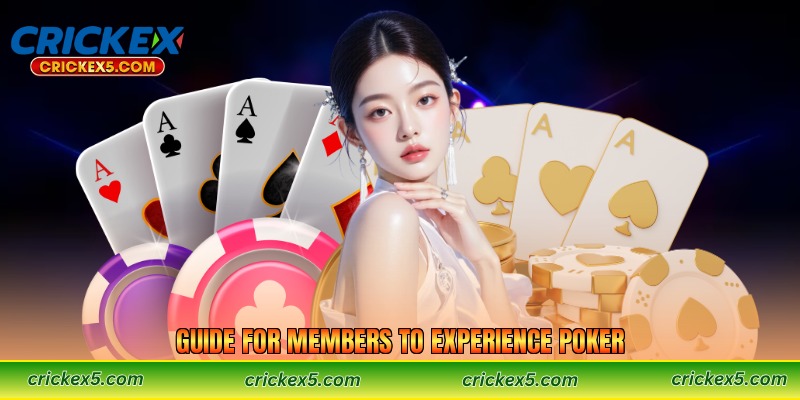 Guide for Members to Experience Poker