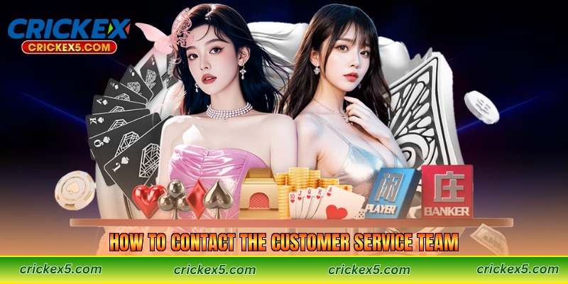 How to Contact the Customer Service Team