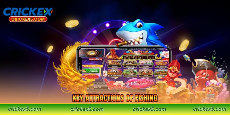 Key Attractions of Fishing