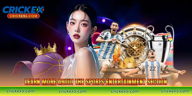Learn More About the Sports Entertainment Section
