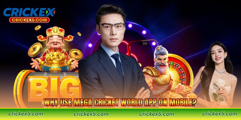 Why Use Mega Cricket World App on Mobile?